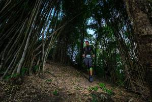 BIB: 
                            <button type="button" onclick="openModal(19395531)" class="btn btn-primary btn-sm float-right btn-popup" data-toggle="modal" data-target=".modal-high-quality">
                        <i class="fas fa-shopping-cart"></i> Add to Cart
                    </button>
                                            <button type="button" onclick="isThisMe(19395531, true)" class="btn btn-success btn-sm float-right btn-popup btn-isme hidden" data-toggle="tooltip" data-placement="bottom" title="นี่คือรูปของคุณใช่ไหม คลิกที่นี่เพื่อเอาเข้าอัลบั้ม">
                        <i class="fas fa-plus"></i> Add to album
                    </button>
                    <button type="button" onclick="isThisMe(19395531, false)" class="btn btn-warning btn-sm float-right btn-popup btn-isnotme hidden">
                        <i class="fas fa-ban"></i> Remove from album
                    </button>